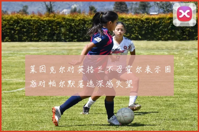 莱因克尔对英格兰不召霍尔表示困惑对帕尔默落选深感失望