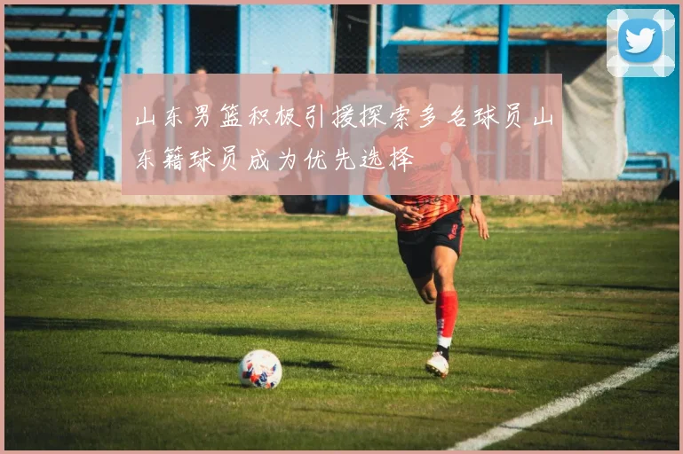 山东男篮积极引援探索多名球员山东籍球员成为优先选择